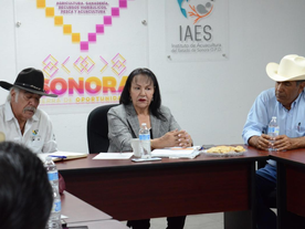 Negativo a influenza aviar H1N5 resultaron las granjas avícolas colindantes al brote en Cajeme