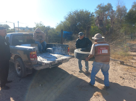 Responde Ecología Municipal a peticiones ciudadanas