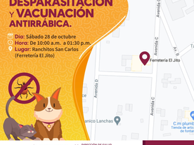 Invita Ayuntamiento de Guaymas a ‘Jornada de desparasitación y vacunación antirrábica’