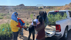 Inicia Gobierno de Sonora trabajos de reforestación en el polígono “La Oreja” del Bosque Urbano La Sauceda