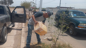 Realiza Ecología Municipal intenso programa de trabajo en la ciudad