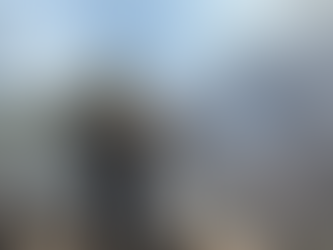 Gobierno de Sonora logra liquidación total del incendio forestal en la Sierra Los Ajos