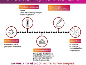 Gobierno de Sonora exhorta a acudir al médico ante síntomas de rickettsiosis