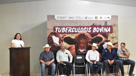 Gobierno de Sonora inicia barrido sanitario para detección de tuberculosis bovina en San Ignacio Río Muerto
