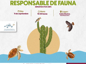 Prepara Ayuntamiento de Guaymas “Taller de observación y acercamiento responsable de fauna”