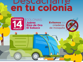 Refuerzan acciones de salud con jornada de descacharre en Empalme