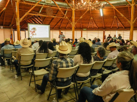 Gobierno de Sonora fortalece acciones de prevención contra el gusano barrenador en la entidad