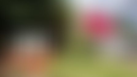 Gobierno de Sonora mantiene oficinas del DIF como centro de acopio en apoyo a familias afectadas por las lluvias en el país