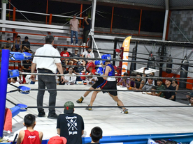 Inicia Torneo de Box de los Barrios, CRECES en Deporte