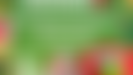 Realiza Ayuntamiento de Hermosillo este sábado Reciclacentro navideño