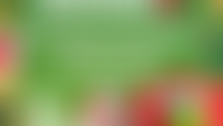 Realiza Ayuntamiento de Hermosillo este sábado Reciclacentro navideño