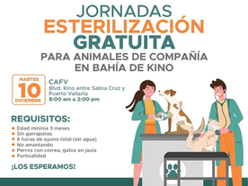 Ofrecerá Gobierno Municipal jornada gratuita de esterilización de animales de compañía en Bahía de Kino