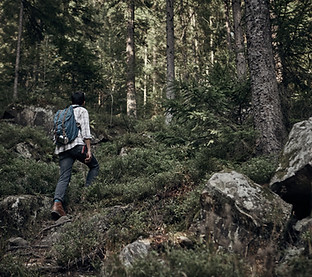 Man Hiking in Wilderness
