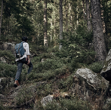 Man Hiking in Wilderness