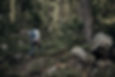 Man Hiking in Wilderness