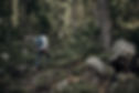 Man Hiking Forest