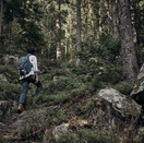 Man Hiking in Wilderness