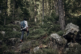 Mann wandert im Wald