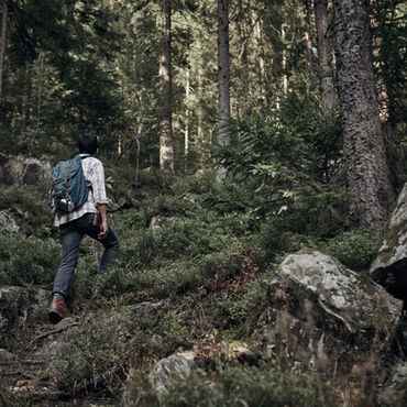 Homme, randonnée, dans forêt