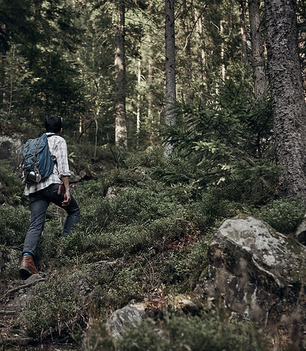 Un homme randonne en forêt