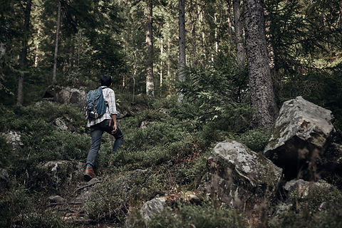 Mann, der in der Wildnis wandert