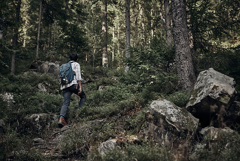 Man Hiking in Wilderness