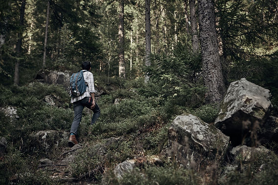 Mann, der in der Wildnis wandert