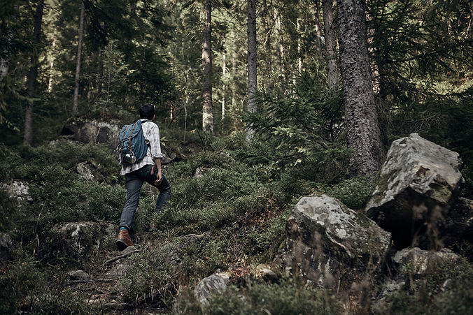Man Hiking Forest