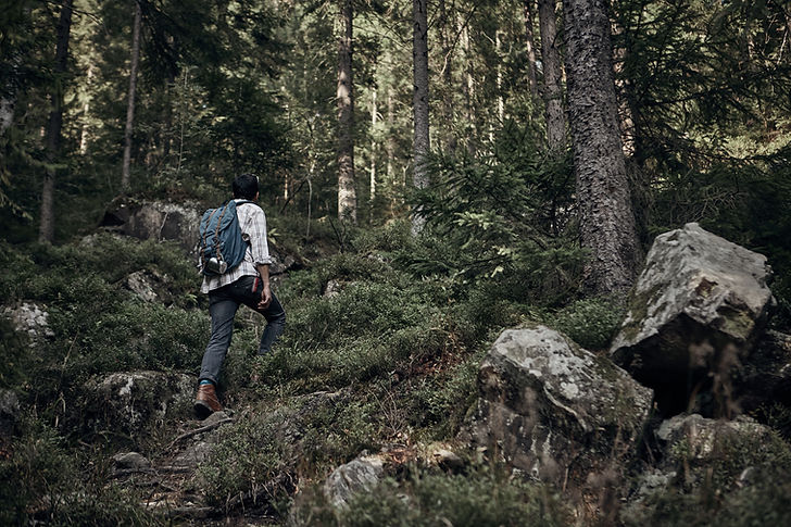Homem, hiking, em, selva