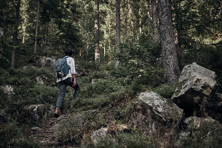 Man Hiking in Wilderness