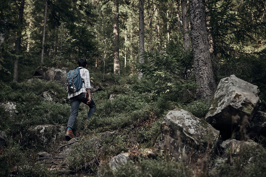 Homem, hiking, em, selva
