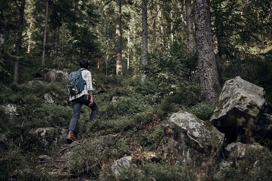 Man Hiking in Wilderness