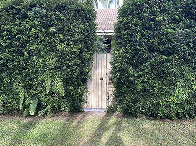 Hedge Trimming Sunrise Beach a.jpeg