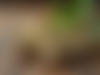 Discover the GI Cardamom Benefits: Why Idukki Cardamom Stands Out