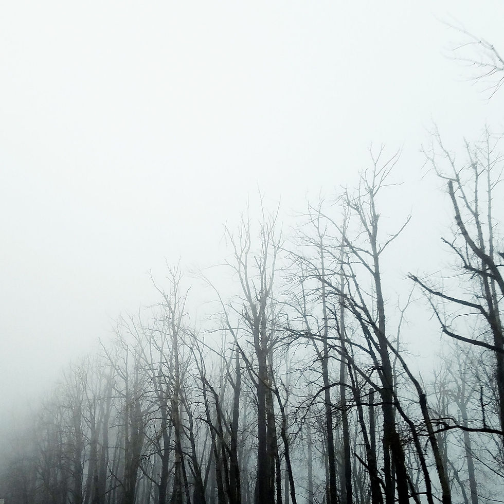 Columbia Gorge