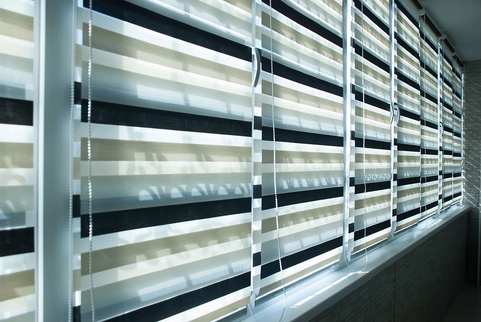 Roller Shades