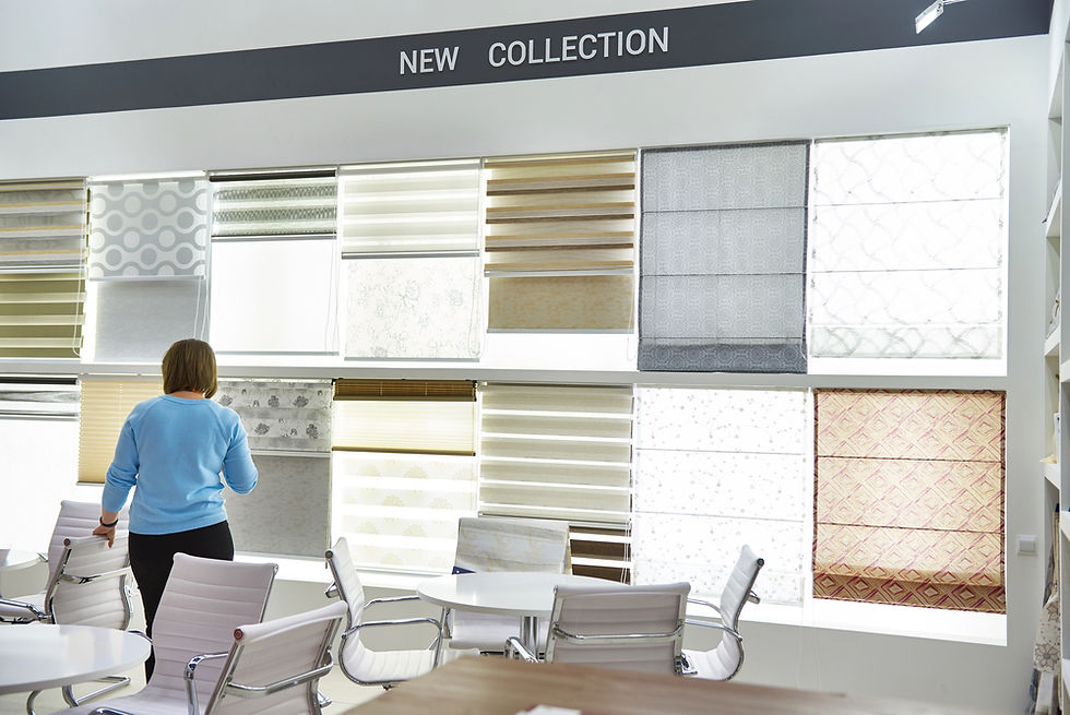Roller Shades option