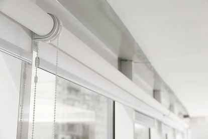 roller-shades-blind-ambitions.jpg