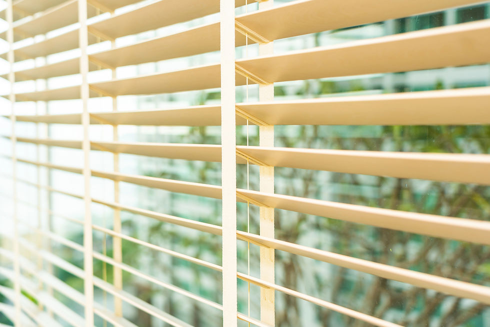 Roller Shades