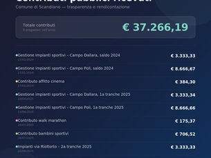 Contributi Pubblici