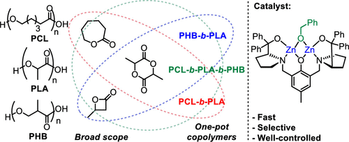 Another Paper Up!