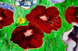 Let us dance in the sun