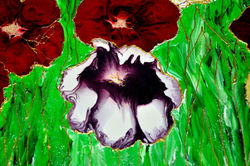 Let us dance in the sun