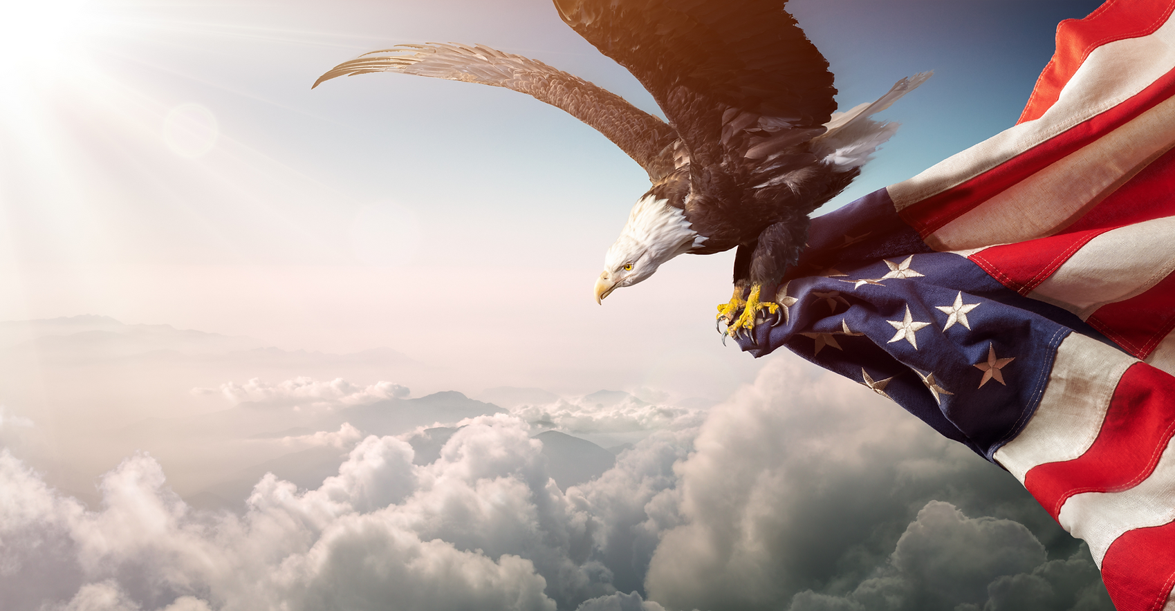 Patriotic branding for America’s Tax Doctor nationwide services