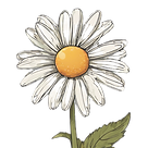 daisy.png