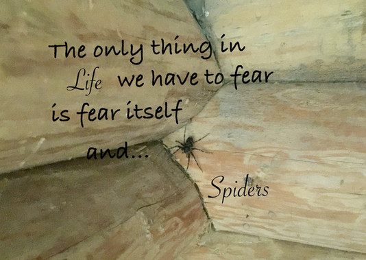 Itsy bitsy spider
