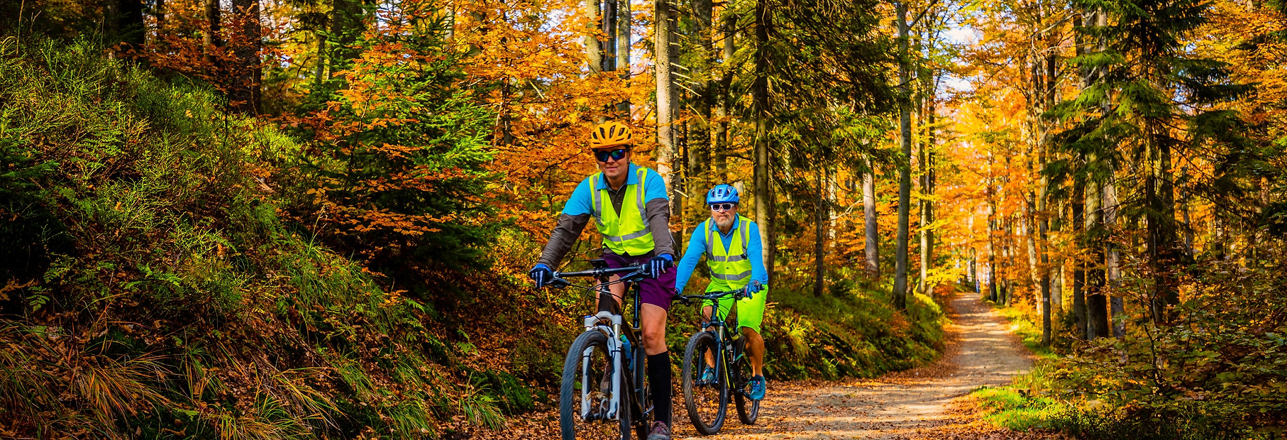 Cycling, mountain biker couple on cycle trail in autumn forest. Mountain biking in autumn