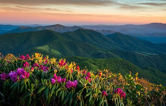 roan-highlands-appalachian-mountains-north-carolina-vysokogo.jpeg
