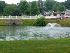 Pond with waterfall.jpg
