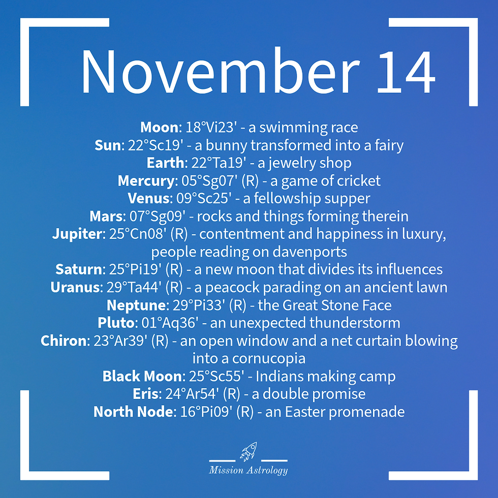 November 14, 2025 – A Jaguar Healing